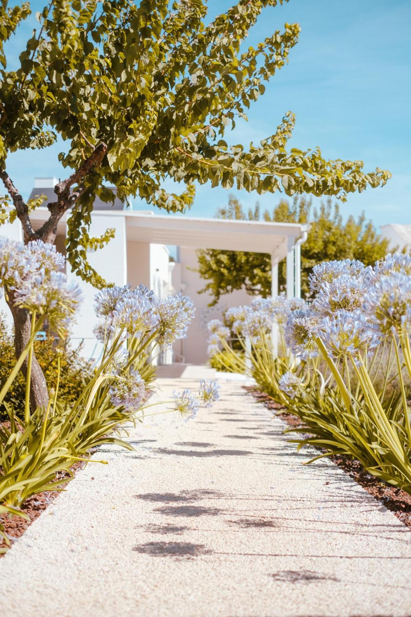 Iconica Luxury Suites Alberobello Kültér fotó